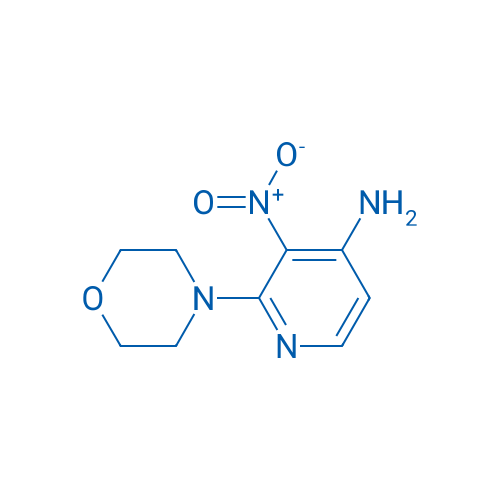 2-Morpholino-3-nitropyridin-4-amine 250mg