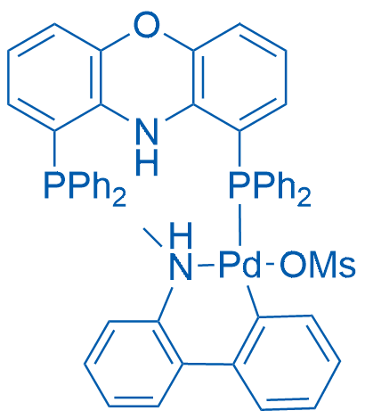 N-XantPhos Pd G4 100mg