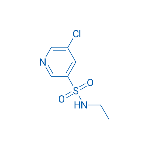 5-Chloro-N-ethylpyridine-3-sulfonamide 1g