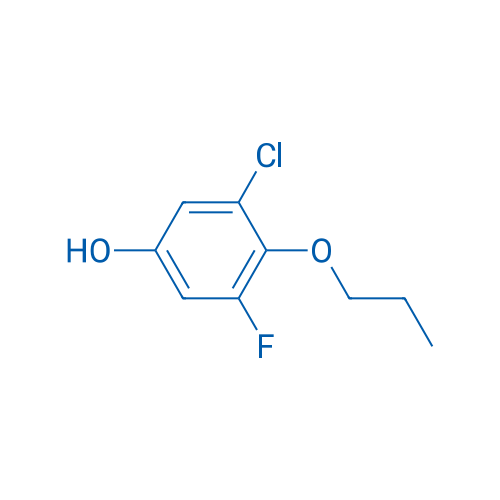 3-Chloro-5-fluoro-4-propoxyphenol 1g