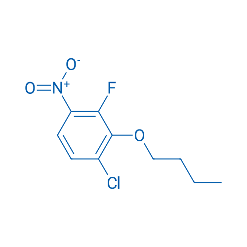 2-Butoxy-1-chloro-3-fluoro-4-nitrobenzene 1g