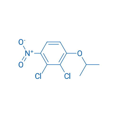 2,3-Dichloro-1-nitro-4-(propan-2-yloxy)benzene 1g