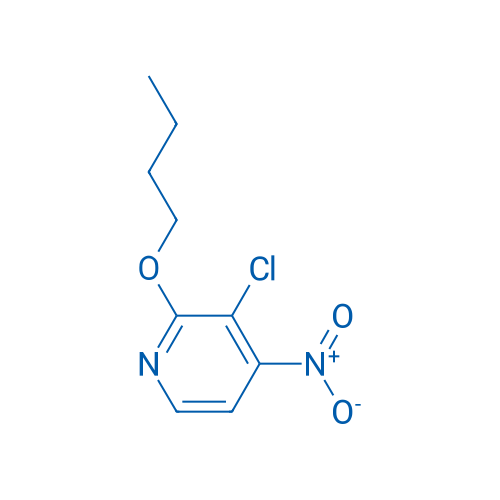 2-Butoxy-3-chloro-4-nitropyridine 1g