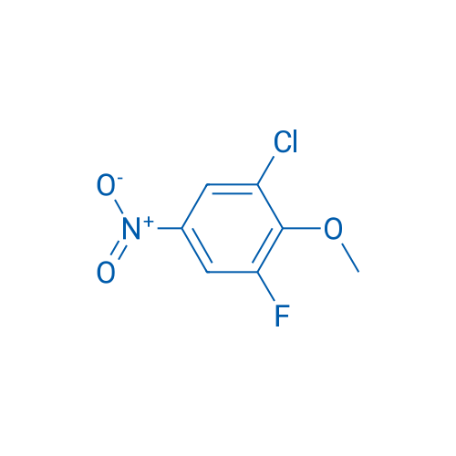 1-Chloro-3-fluoro-2-methoxy-5-nitrobenzene 1g