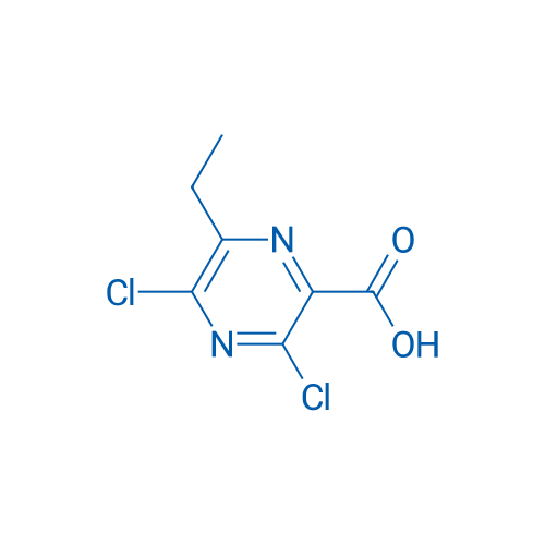 3,5-Dichloro-6-ethylpyrazine-2-carboxylic acid 1g