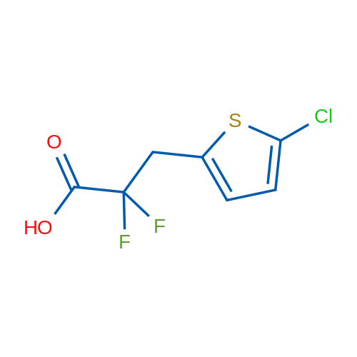 3-(5-Chlorothiophen-2-yl)-2,2-difluoropropanoic acid 1g