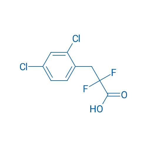 3-(2,4-Dichlorophenyl)-2,2-difluoropropanoic acid 1g