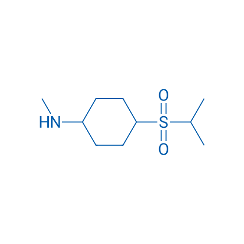 N-Methyl-4-(propane-2-sulfonyl)cyclohexan-1-amine 1g