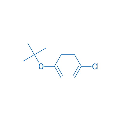 1-(tert-Butoxy)-4-chlorobenzene 25g