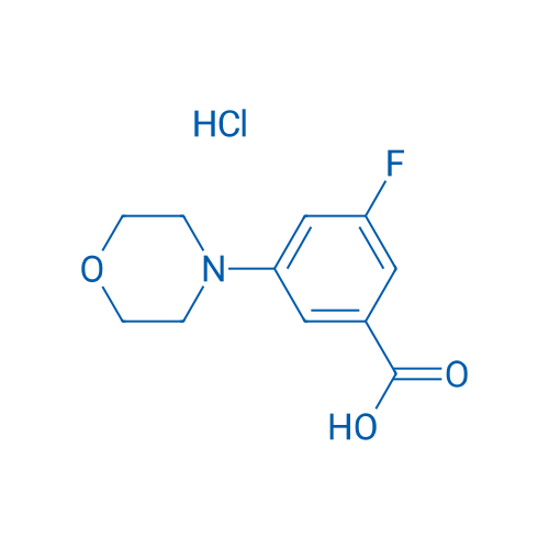 3-Fluoro-5-(morpholin-4-yl)benzoic acid hydrochloride 1g