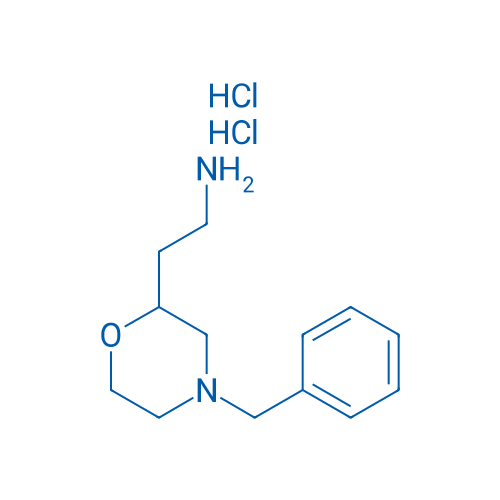 2-(4-Benzylmorpholin-2-yl)ethanamine dihydrochloride 1g