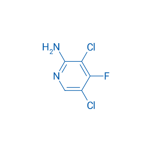 3,5-Dichloro-4-fluoropyridin-2-amine 1g