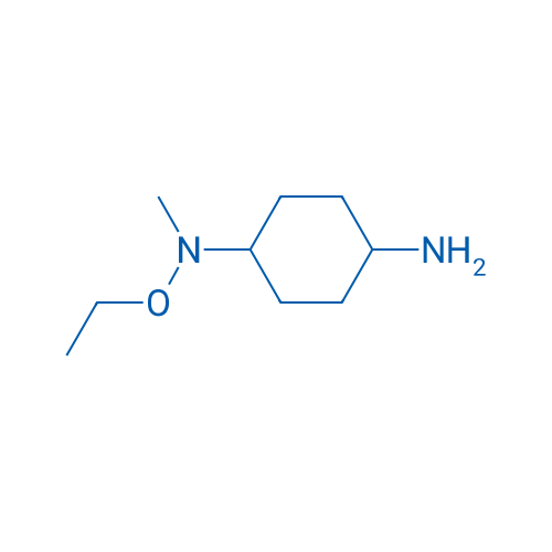 N1-Ethoxy-N1-methylcyclohexane-1,4-diamine 1g