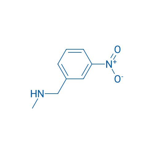 N-Methyl-1-(3-nitrophenyl)methanamine 1g