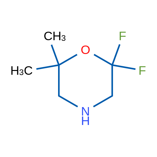 2,2-Difluoro-6,6-dimethylmorpholine 1g