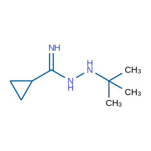 N-(tert-Butylamino)cyclopropanecarboximidamide 1g