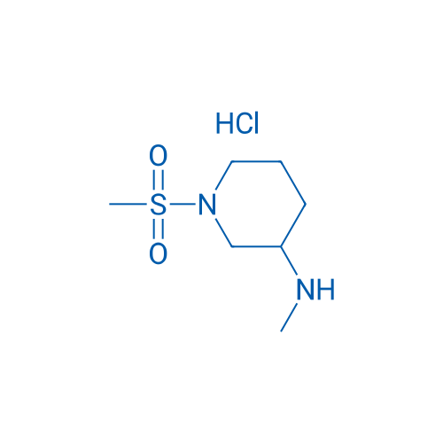 N-Methyl-1-(methylsulfonyl)piperidin-3-amine hydrochloride 1g
