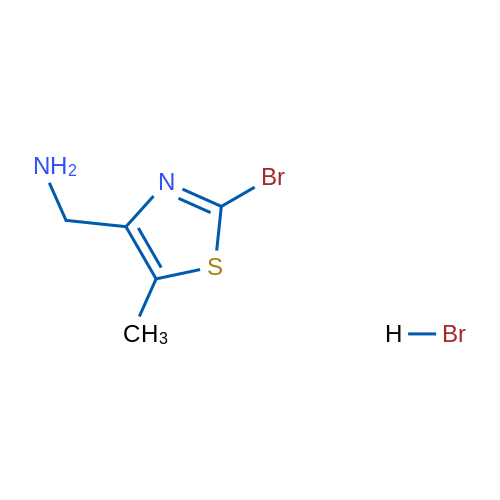 (2-Bromo-5-methylthiazol-4-yl)methanamine hydrobromide 1g
