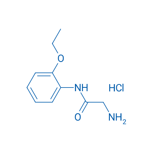 2-Amino-N-(2-ethoxyphenyl)acetamide hydrochloride 1g