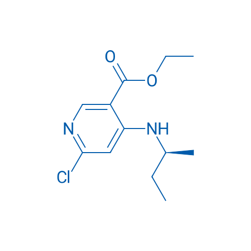 (S)-Ethyl 4-(sec-butylamino)-6-chloronicotinate 5g