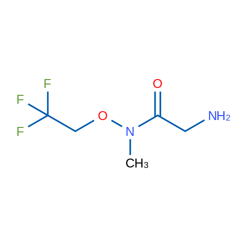 2-Amino-N-methyl-N-(2,2,2-trifluoroethoxy)acetamide 1g