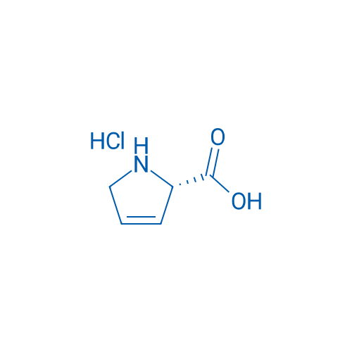 H-3,4-Dehydro-Pro-OH·HCl 100mg