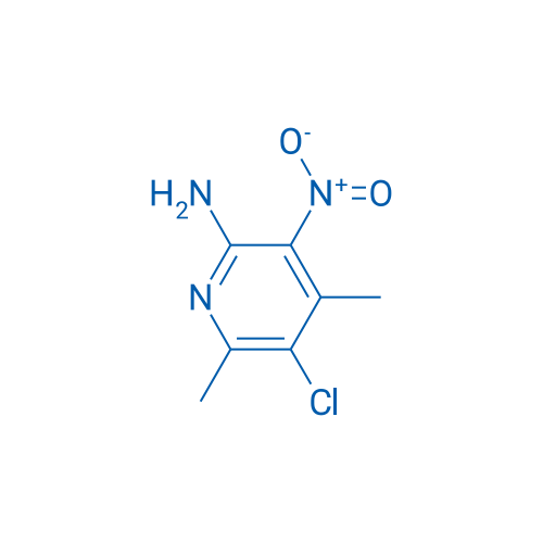 5-Chloro-4,6-dimethyl-3-nitropyridin-2-amine 1g