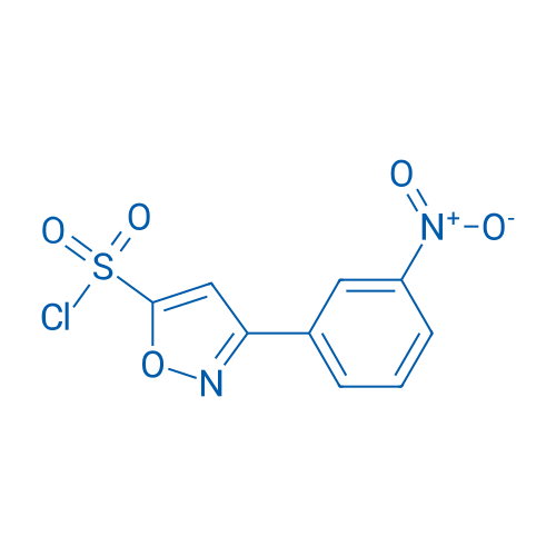 3-(3-Nitrophenyl)-1,2-oxazole-5-sulfonyl chloride 1g
