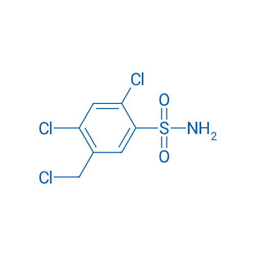 2,4-Dichloro-5-(chloromethyl)benzene-1-sulfonamide 1g
