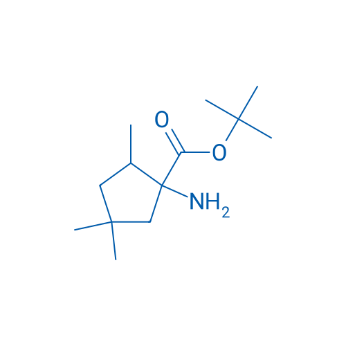 tert-Butyl 1-amino-2,4,4-trimethylcyclopentane-1-carboxylate 1g