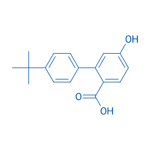 2-(4-tert-Butylphenyl)-4-hydroxybenzoic acid 1g