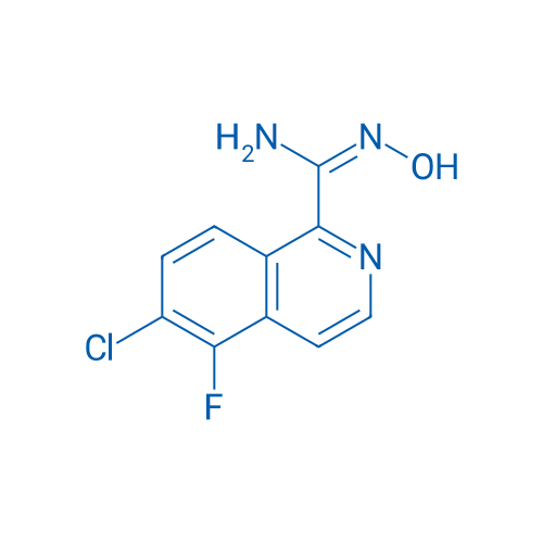 (E)-6-Chloro-5-fluoro-N'-hydroxyisoquinoline-1-carboximidamide 1g