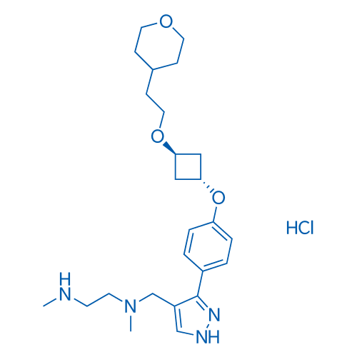 EPZ020411 HCl 5mg
