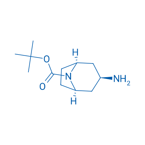 N-Boc-endo-3-aminotropane 25g