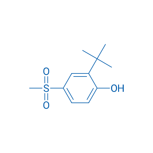 2-(TERT-BUTYL)-4-(METHYLSULFONYL)PHENOL 250mg