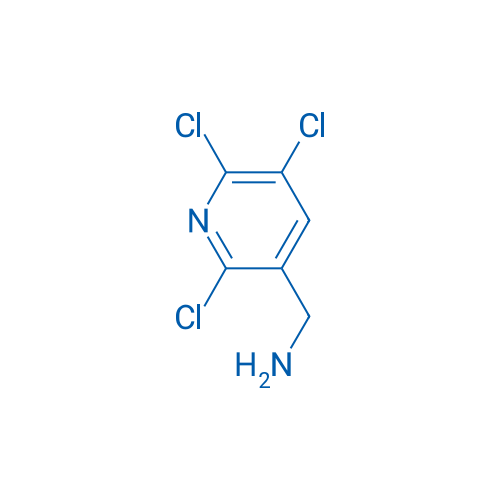 (2,5,6-Trichloropyridin-3-yl)methanamine 1g