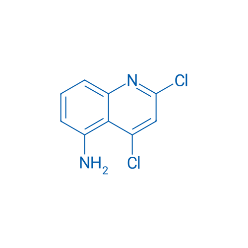 2,4-Dichloroquinolin-5-amine 1g