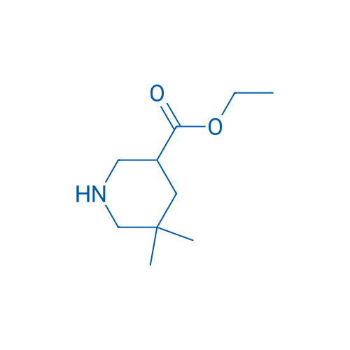 Ethyl 5,5-dimethylpiperidine-3-carboxylate 100mg