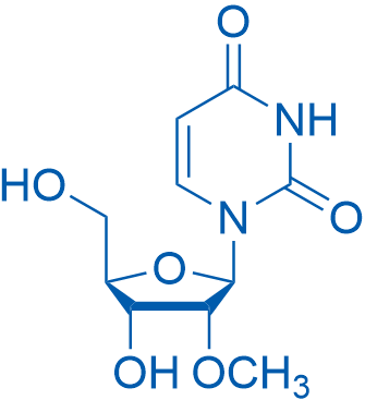 2′-O-Methyluridine 25g