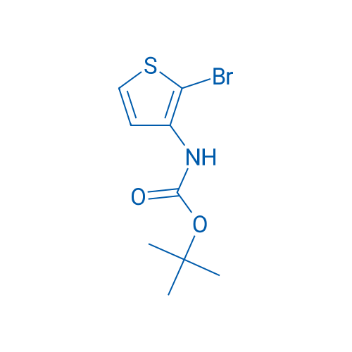 tert-Butyl (2-bromothiophen-3-yl)carbamate 100mg