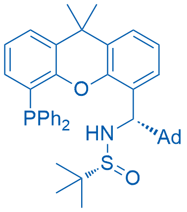 (R)-N-((1S)-(Adamantan-1-yl)(5-(diphenylphosphanyl)-9,9-dimethyl-9H-xanthen-4-yl)methyl)-2-methylpropan-2-sulfinamide 25mg