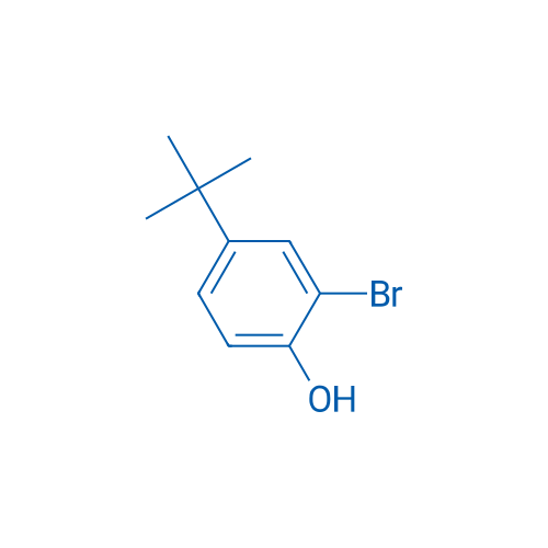 2-Bromo-4-tert-butylphenol 10g