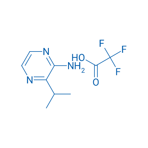 3-Isopropylpyrazin-2-amine 2,2,2-trifluoroacetate 1g