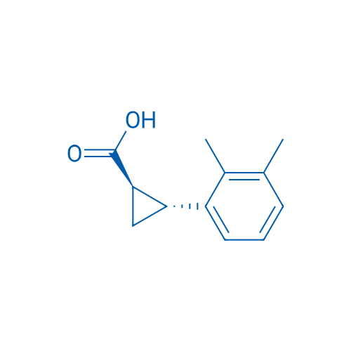 (1R,2R)-2-(2,3-Dimethylphenyl)cyclopropane-1-carboxylic acid 250mg