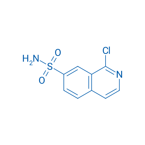 1-Chloro-7-isoquinolinesulphonamide 1g