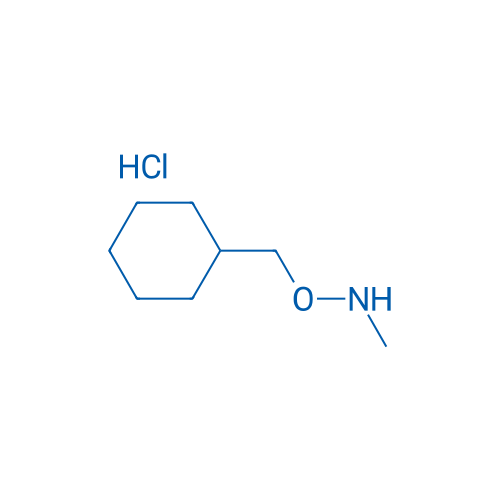 O-(Cyclohexylmethyl)-N-methylhydroxylamine hydrochloride 1g