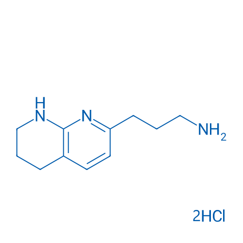 3-(5,6,7,8-Tetrahydro-1,8-naphthyridin-2-yl)propan-1-amine dihydrochloride 100mg