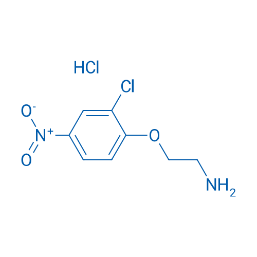 2-(2-Chloro-4-nitrophenoxy)ethan-1-amine hydrochloride 1g
