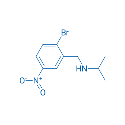 N-(2-Bromo-5-nitrobenzyl)propan-2-amine 5g