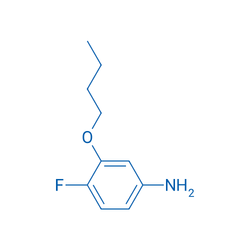 3-Butoxy-4-fluoroaniline 1g